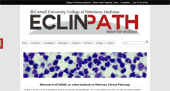 Desktop Screenshot of eclinpath.com